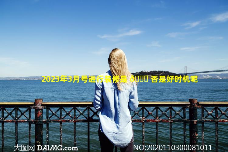 2023年3月号进行装修是 🐞 否是好时机呢